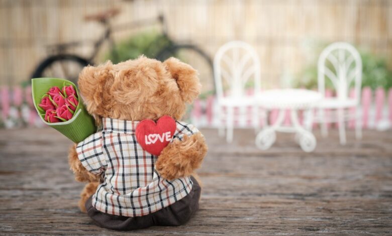 Top 10 Best gifts for him and her 1 Best Valentine's Day gifts
